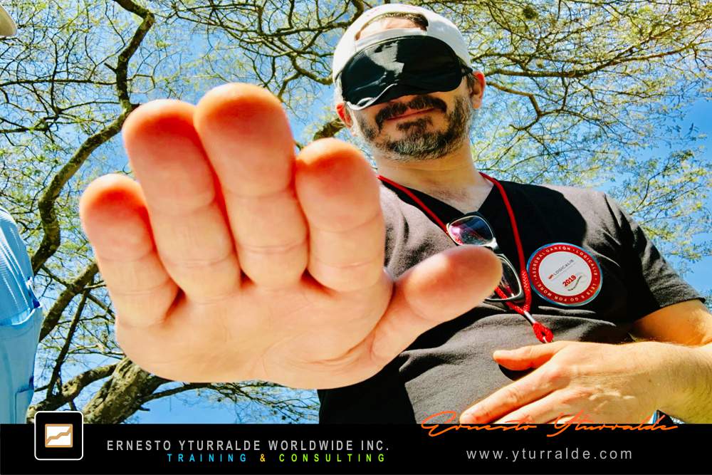 Taller corporativo en Colombia para fortalecer cohesión y aprendizaje de equipo